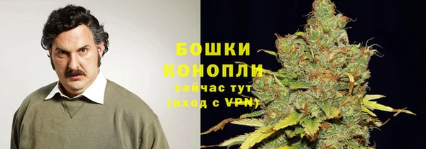 прущие крисы Беломорск