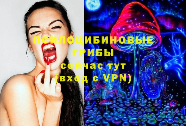 прущий лед Белокуриха
