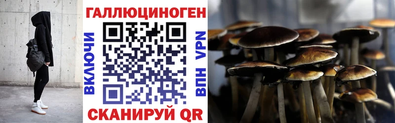 где найти Покровск Псилоцибиновые грибы GOLDEN TEACHER
